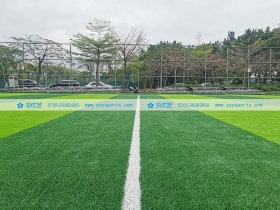 广东省深圳市——新桥市民广场体育公园 广东省深圳市——新桥市民广场体育公园